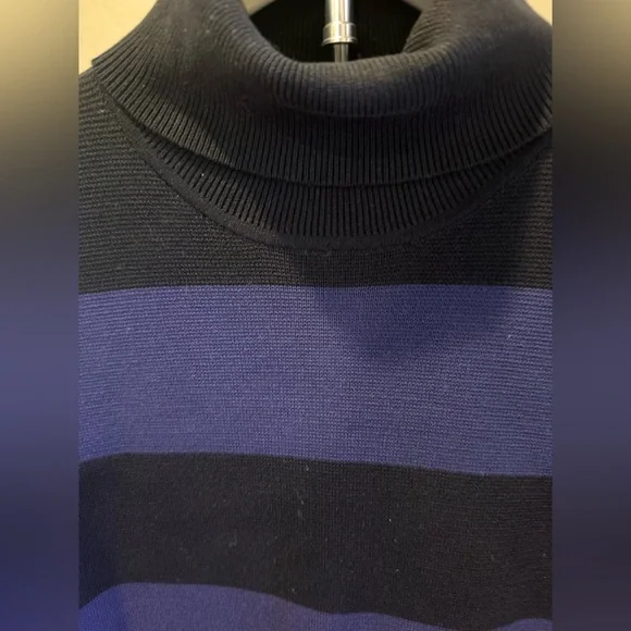 J. Crew Blue and Black Ribbed Turtleneck Sweater Dress - Picture 3 of 6